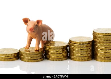 Porc sur une pile de pièces Banque D'Images