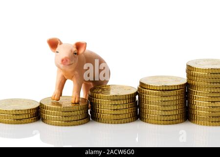 Porc sur une pile de pièces Banque D'Images