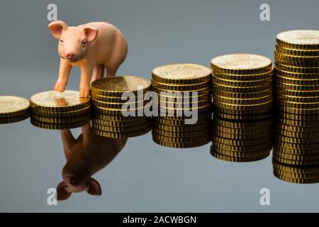 Porc sur une pile de pièces Banque D'Images