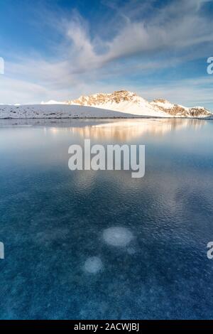 Piz Umbrail reflété dans le lac gelé, vallée de Braulio, col du Stelvio, Bormio, Sondrio province, Valtellina, Lombardie, Italie Banque D'Images