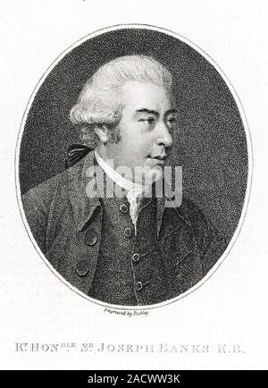 JOSEPH BANKS (1743-1820) naturaliste et botaniste anglais Banque D'Images