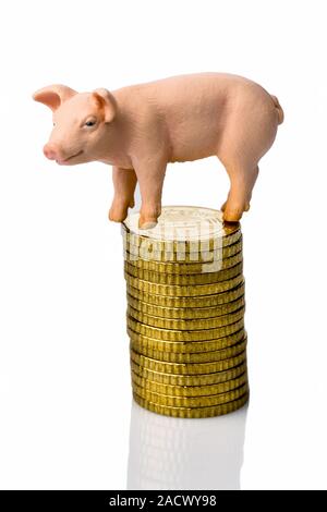 Porc sur une pile de pièces Banque D'Images