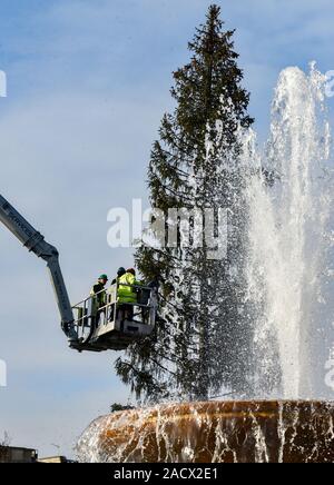 Trafalgar Square, Londres, Royaume-Uni. 3e décembre 2019. L'arbre de Noël traditionnel est installé à Trafalgar Square. Crédit : Matthieu Chattle/Alamy Live News Banque D'Images