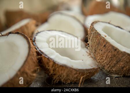 Noix de coco séchées est réduit de moitié sur le terrain Banque D'Images