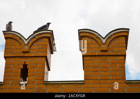 Deux corbeaux assis sur le mur du Kremlin Banque D'Images
