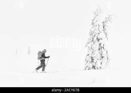 Skieur dans la neige, Dundret réserve naturelle, Laponie, Suède Banque D'Images