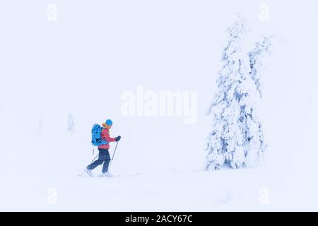 Skieur dans la neige, Dundret réserve naturelle, Laponie, Suède Banque D'Images