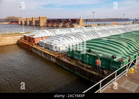 New York City, New York - Un remorqueur pousse barges contenant du maïs et du soja dans l'écluse et Dam No 16 sur la partie supérieure du fleuve Mississippi. Un travailleur sur t Banque D'Images