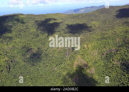 L'Ile Maurice, le paysage dans le Parc National Black River Georges Banque D'Images