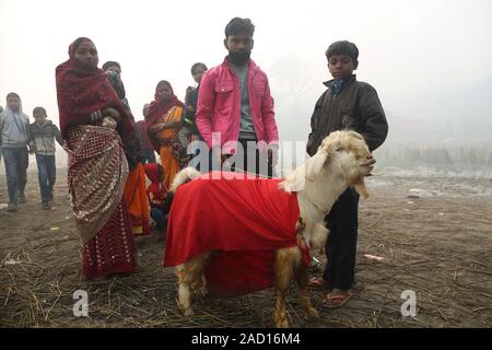 Bara, au Népal. 19Th Mar, 2019. Les gens apportent une chèvre pour la cérémonie sacrificielle de Gadhimai festival près de chez d'un temple à Bariyapur, Bara, le Népal, le 3 décembre 2019. Les dévots hindous célèbrent le festival de Gadhimai, qui a lieu une fois tous les cinq ans, avec le sang des animaux tués, fraîchement que le sacrifice rituel à Gadhimai, la déesse du pouvoir. Credit : Sunil Sharma/Xinhua/Alamy Live News Banque D'Images