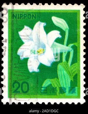 L'APAN - circa 1980 : timbre imprimé dans le Japon montre White Lily Trompette, Lilium longiflorum, Adonis amurensis, fleur, vers 1980 Banque D'Images