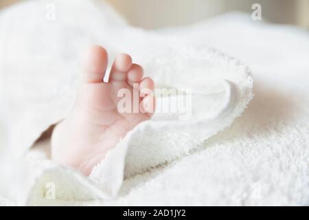 Close-up of baby pieds. L'accent sur pied. Banque D'Images