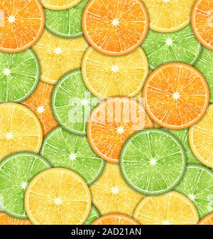 Modèle transparent avec des oranges, citrons et limes Banque D'Images