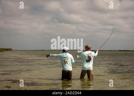 Ambergris Caye, Belize - 16 novembre, 2019. Un guide de pêche de Béliziens soulignant l'école de bonefish sur les flats sur la petite île des Caraïbes. Banque D'Images