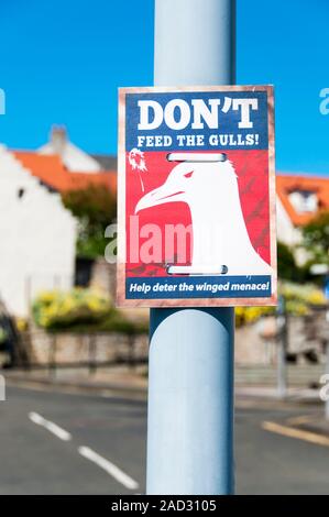 A ne pas nourrir les mouettes en signe d'Anstruther, Fife. Banque D'Images