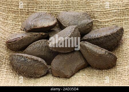 Noix du Brésil en coque Banque D'Images