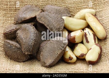 Les noix du Brésil, en coquille, et shell dépose Banque D'Images