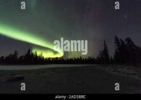 Northern Lights (aurores boréales), parc national de Muddus, Laponie, Suède Banque D'Images