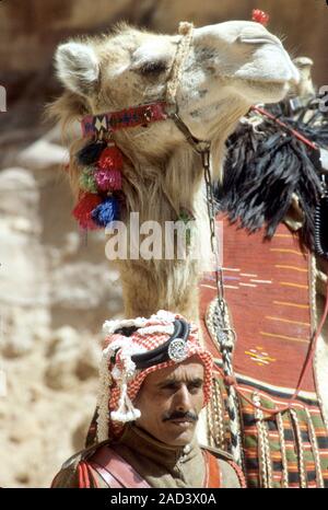 Les agents de la police touristique de bédouins d'assurer la sécurité dans la ville antique de Pétra, en Jordanie. Photographiés avec leurs chameaux, dans l'attente de l'arrivée d'H Banque D'Images