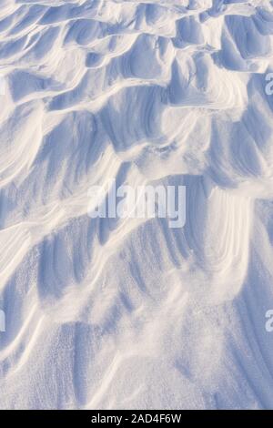 Des formations de neige par le vent), Sastrugi (parc national de Riisitunturi, Laponie, Finlande Banque D'Images