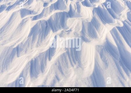 Des formations de neige par le vent), Sastrugi (parc national de Riisitunturi, Laponie, Finlande Banque D'Images