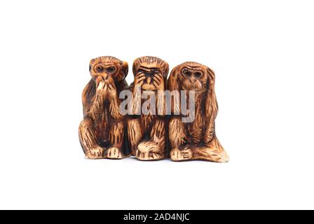 Trois Singes sages isolé sur fond blanc Banque D'Images