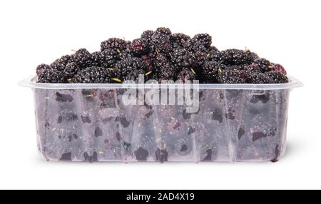 Mulberry dans le plateau en plastique Banque D'Images