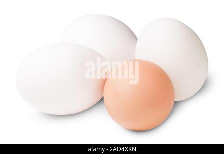 Trois blancs et un Brown Egg Banque D'Images