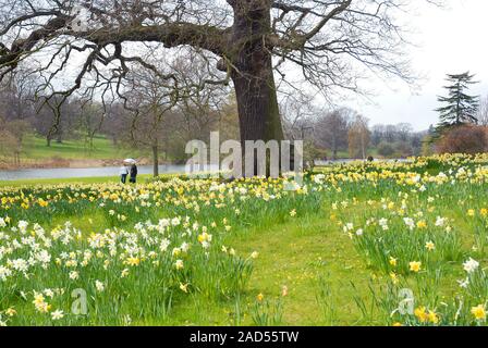 Burghley jardins au printemps Banque D'Images