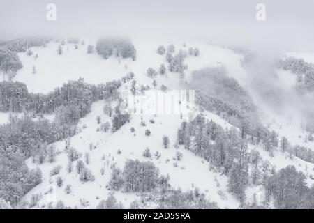 Paysage d'hiver fantastique avec forêt enneigée. La neige a couvert des arbres sur les collines brumeuses. Carpates, l'Ukraine, l'Europe. Concept de vacances de Noël Banque D'Images