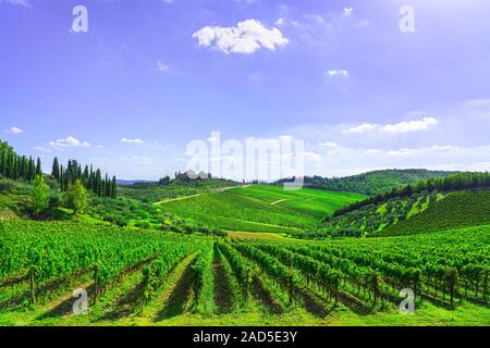 Radda in Chianti vignoble et panorama au coucher du soleil en automne. Toscane, Italie l'Europe. Banque D'Images