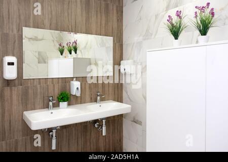 Salle de bains minimaliste avec deux vasques décorées de verdure Banque D'Images