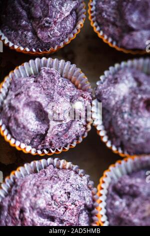 Sans gluten préparer les bleuets muffin. Les moules à pâtisserie en pâte lilas Banque D'Images