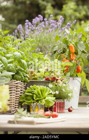 Balcon en été - salade et fleurs en boîtes anciennes UK  + droits irlandais uniquement. Banque D'Images