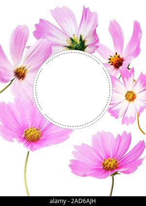 Étiquette ronde floral rose de l'espace pour écrire à utiliser Banque D'Images