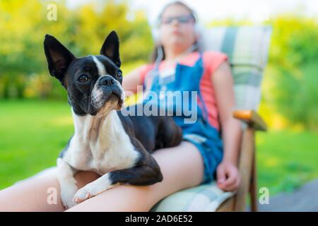 Chien et adolescente se reposant dans le jardin - sweet boston terrier chiot sur les genoux de sa dame Banque D'Images