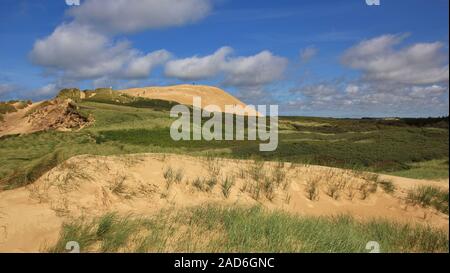 Rubjerg Knude unique de dunes, à la côte ouest du Danemark. Banque D'Images