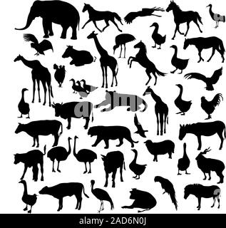 Silhouettes d'animaux et d'oiseaux dans le zoo collection. Vector illustration. Illustration de Vecteur