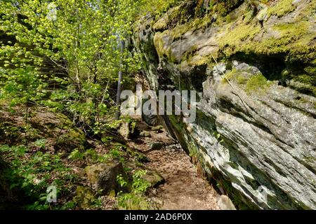 Groupe Diebskeller Rock près de Altenstein, parc naturel Haßberge, Basse Franconie, Bavière, Allemagne Banque D'Images