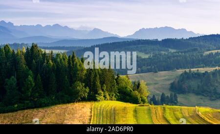 Panorama des Tatras vu depuis le côté de Pieniny Banque D'Images