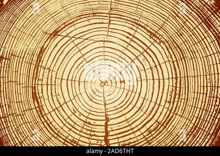 Les anneaux de croissance des arbres en arrière-plan de coupe et le tronc de l'arbre. Vector illustration. Illustration de Vecteur