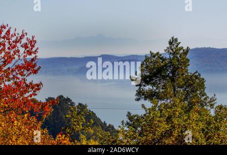 Vue sur le lac de Constance d'Altmann et Säntis, Suisse Banque D'Images