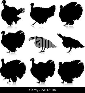 Silhouettes de dindons. Vector illustration. Illustration de Vecteur