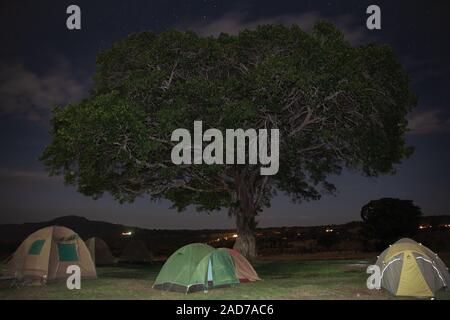 Nuit africaine tentes under tree Banque D'Images