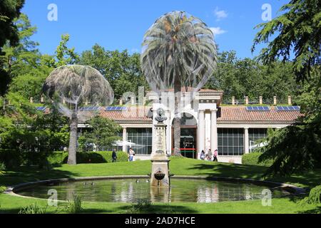 Madrid, Botanical garden, Canaries date palm, la protection contre les ravageurs de palmiers Paysandisia archon Banque D'Images