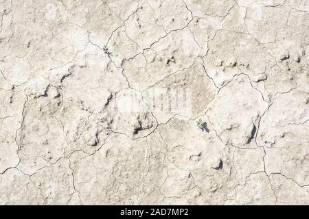 Sèches, le sol manque d'eau Banque D'Images