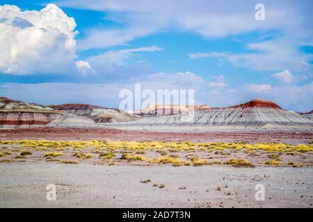 Le sentier Blue Mesa dans le Parc National de la Forêt Pétrifiée, Arizona Banque D'Images