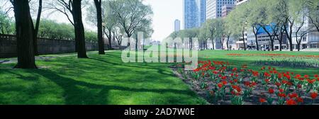 Voir des fleurs et des arbres dans les jardins publics, Grant Park, Chicago, Illinois, États-Unis Banque D'Images