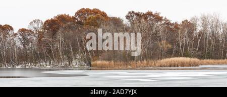 Première neige, paysage d'hiver, lac, Minnesota, USA, par Dominique Braud/Dembinsky Assoc Photo Banque D'Images