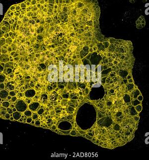 Abstract grunge fond cellulaire Banque D'Images